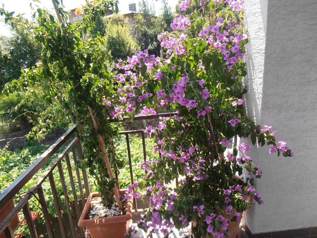 Guesthouse Villa Stanger Ловран Экстерьер фото